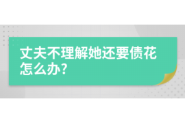 余干为什么选择专业追讨公司来处理您的债务纠纷？